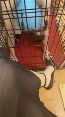 【魔鬼天使】狗笼囚禁圈养奴 bf46055