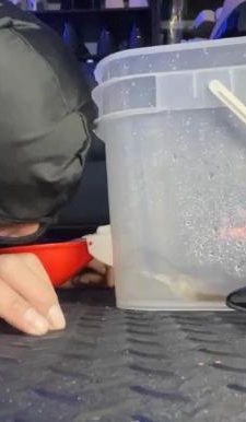 【甜心教主】跪舔脏高跟/香水控制/迷恋肉丝jio/赏赐圣水 bf46203