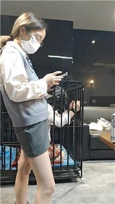 【陶拉大人】狗笼囚禁/脚丫喂食/鞭打/头套窒息/挠痒 bf46309