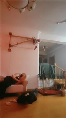 【魔鬼天使】囚禁狗笼/捆绑全包窒息/骑马遛狗 JS241207-5