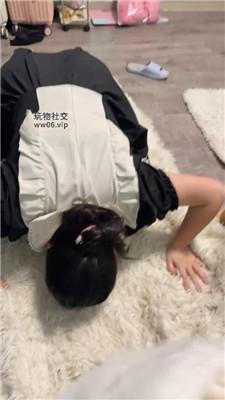 【沐沐大大】母畜-小白鞋白棉袜羞辱 JS241208-77