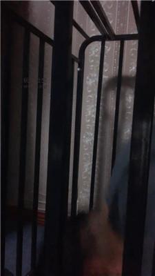 【玩物第一贱】狗笼圈养舔脚 JS241216-37