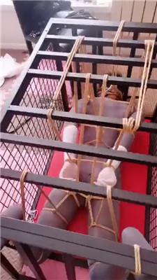 【妃妃】五花大绑囚禁狗奴才【下】 JS241222-12