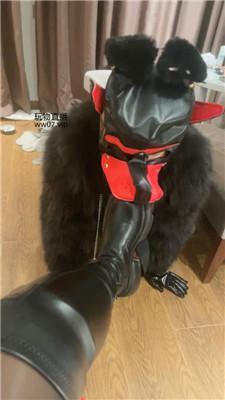 【蛇妈】彻底训化人形犬 JS250225-7