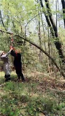 【漂漂】户外吊绑重度鞭打 JS250401-25