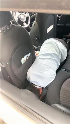 【夸梨】户外犬化训练 JS250518-36