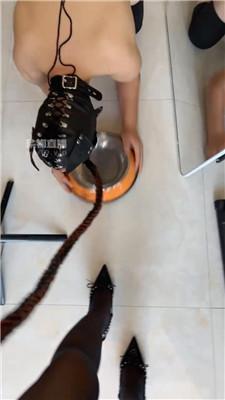 【文主】狗笼囚禁-狗盆喂食 JS250804-6