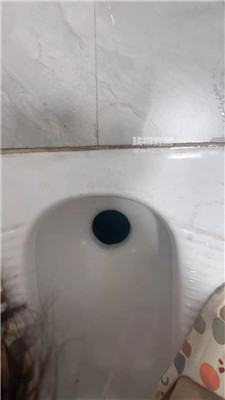 【灵韵】黄金狗滚进来    250822-11