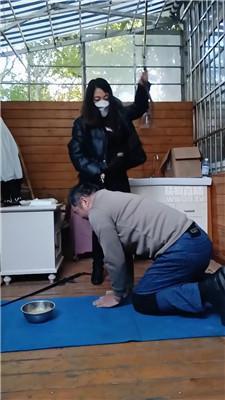 【刑狗】反绑跑骚狗虐 JS251201-1