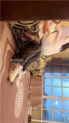 【莎莎】别墅欺负奶狗弟弟 bf59612