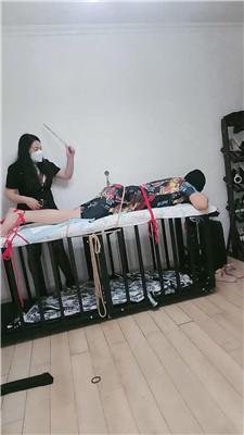 【安心】体验重度sp JS251218-40