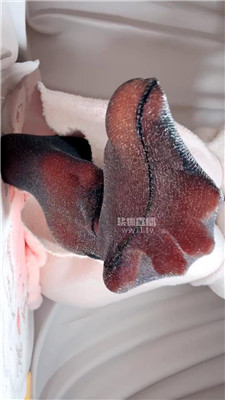 【乔乔在这里】洗脑媚脚sb    251221-20